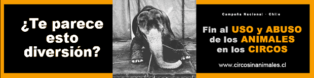 Banner Circo Sin Animales