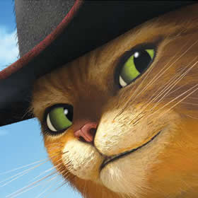 Gato con botas