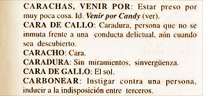 Diccionario de Chilenismos